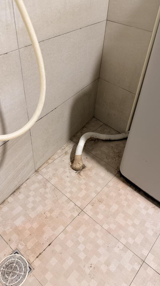 浴室除霉清潔案件圖片