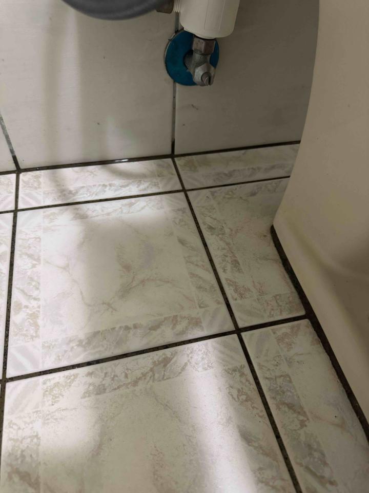 馬桶裝修案件圖片