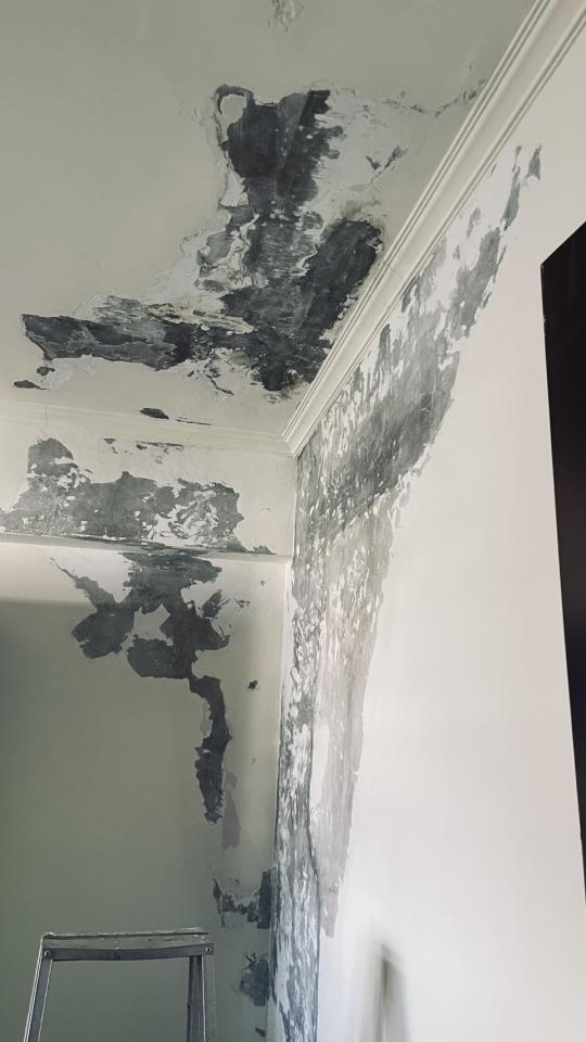 油漆工程案件圖片