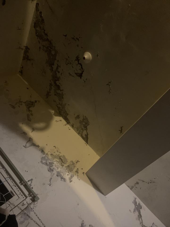 油漆工程案件圖片