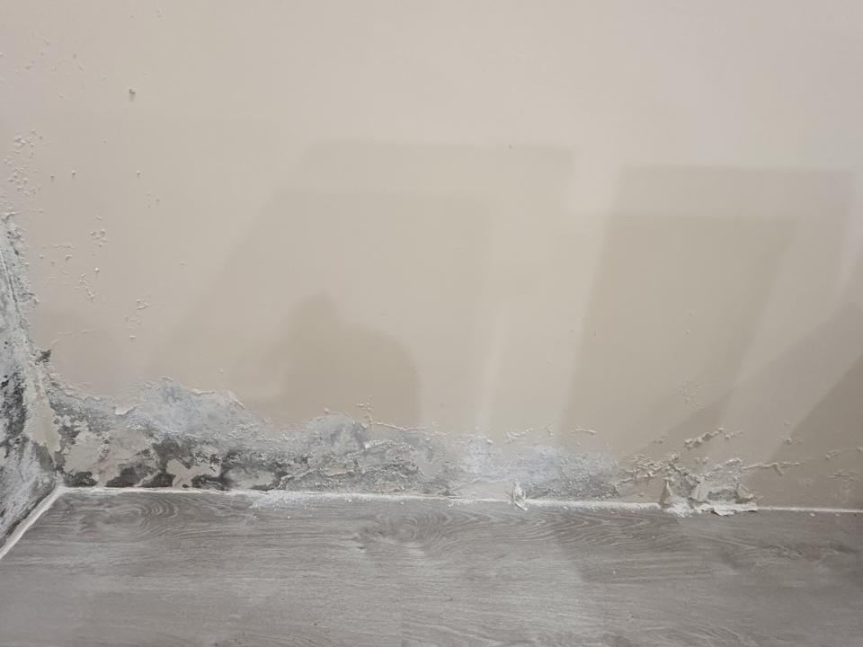 漏水處理案件圖片