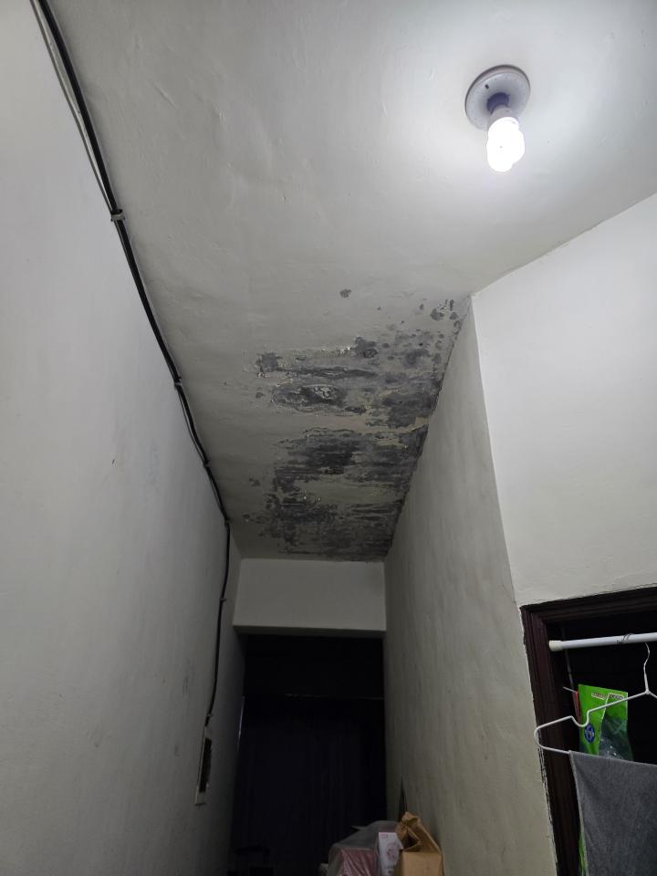 油漆工程案件圖片