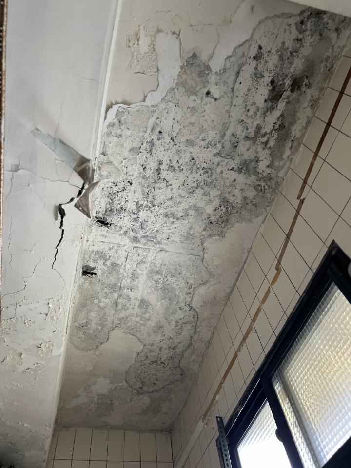 泥作/水泥施工案件圖片