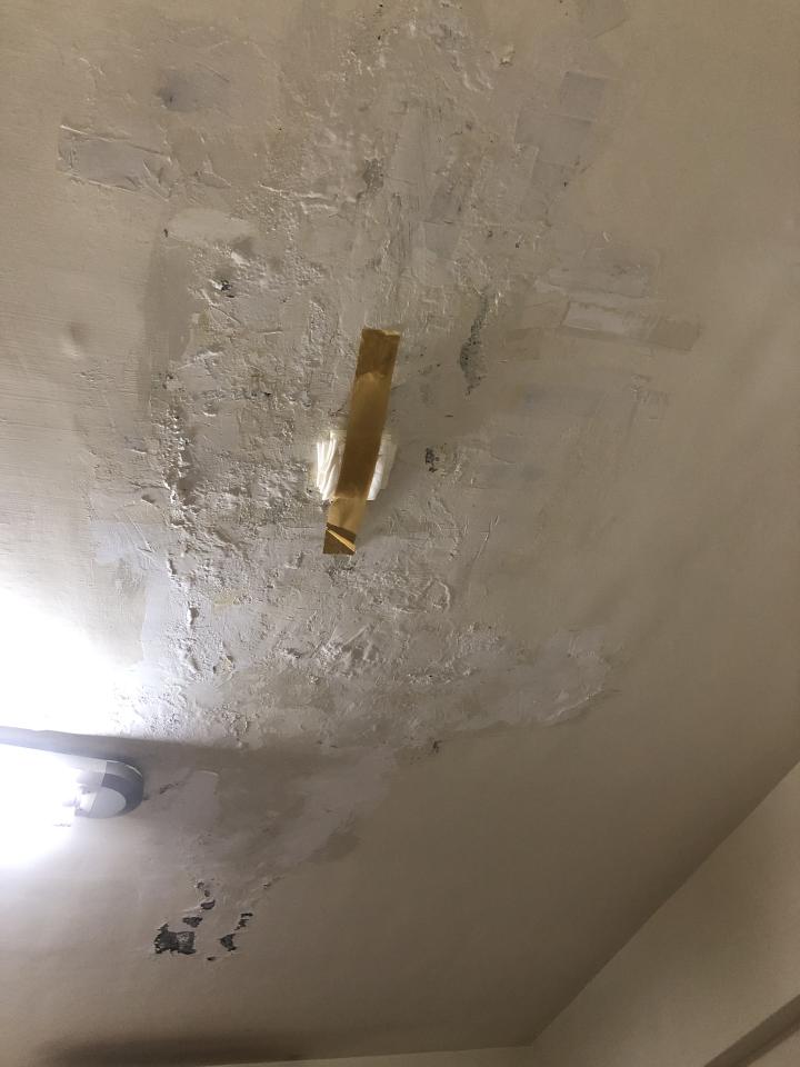 油漆工程案件圖片