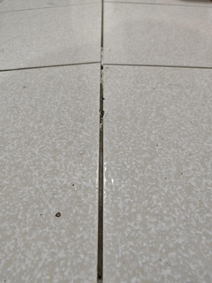 泥作/水泥施工案件圖片