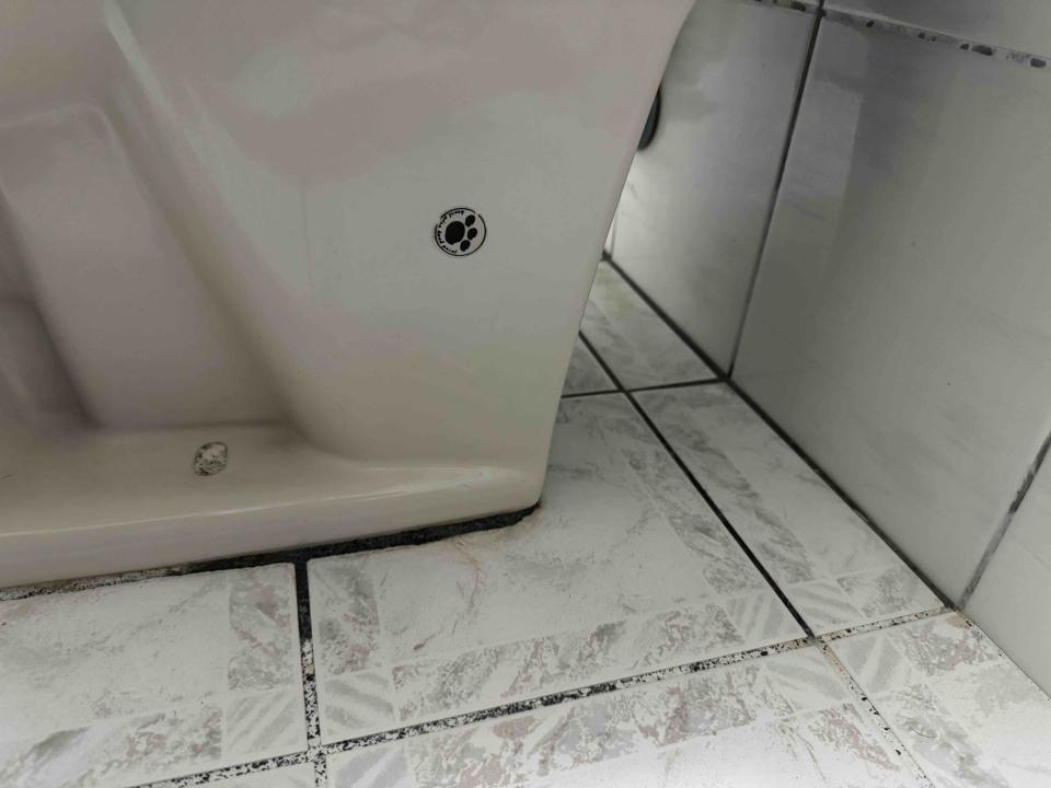 馬桶裝修案件圖片