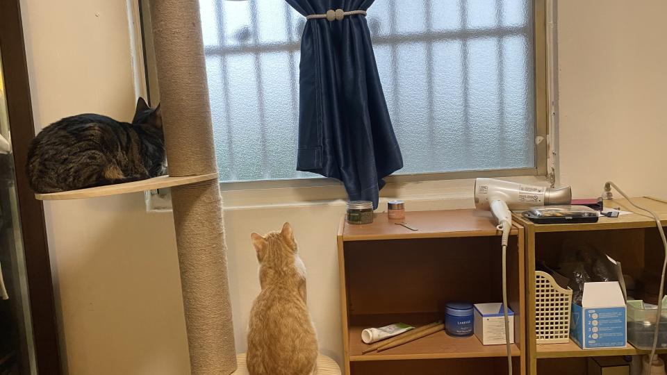 氣密窗案件圖片