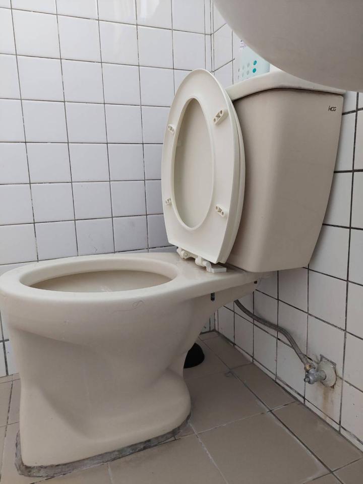 通馬桶案件圖片