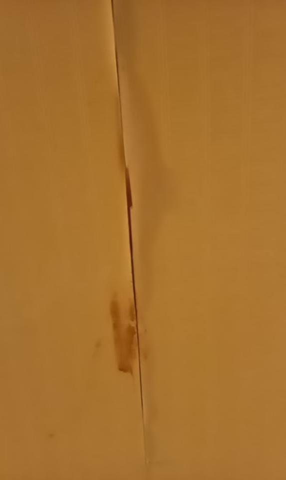 壁紙施工案件圖片