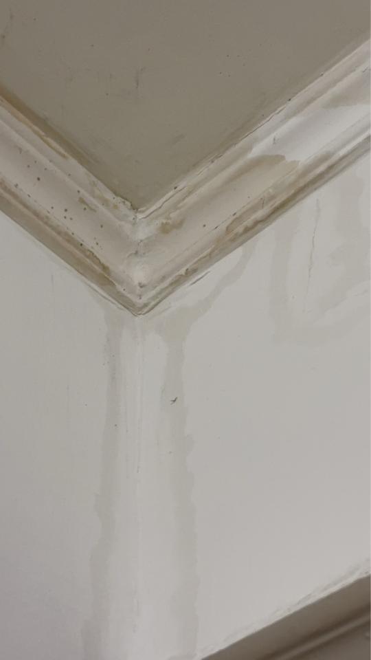 拆除工程案件圖片