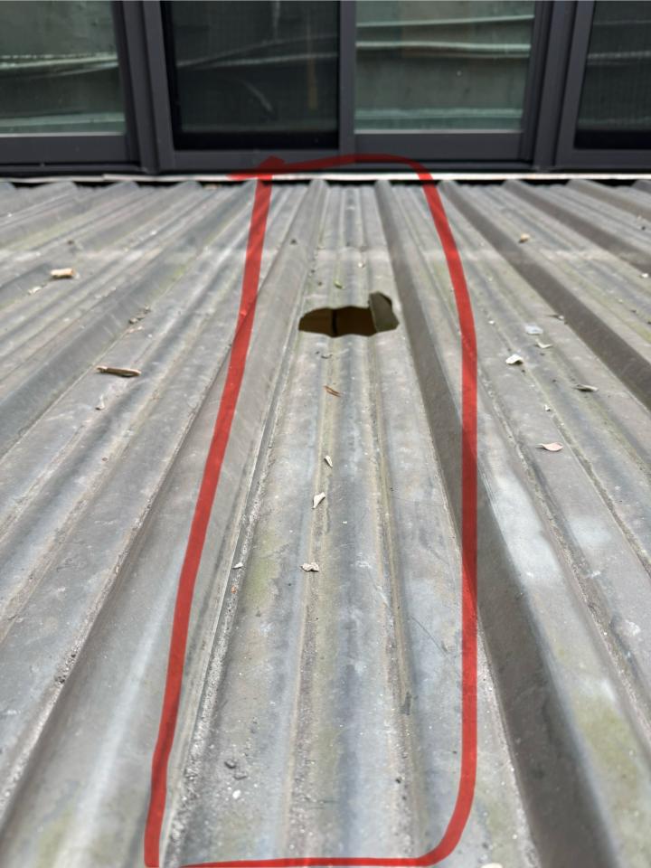 採光罩案件圖片