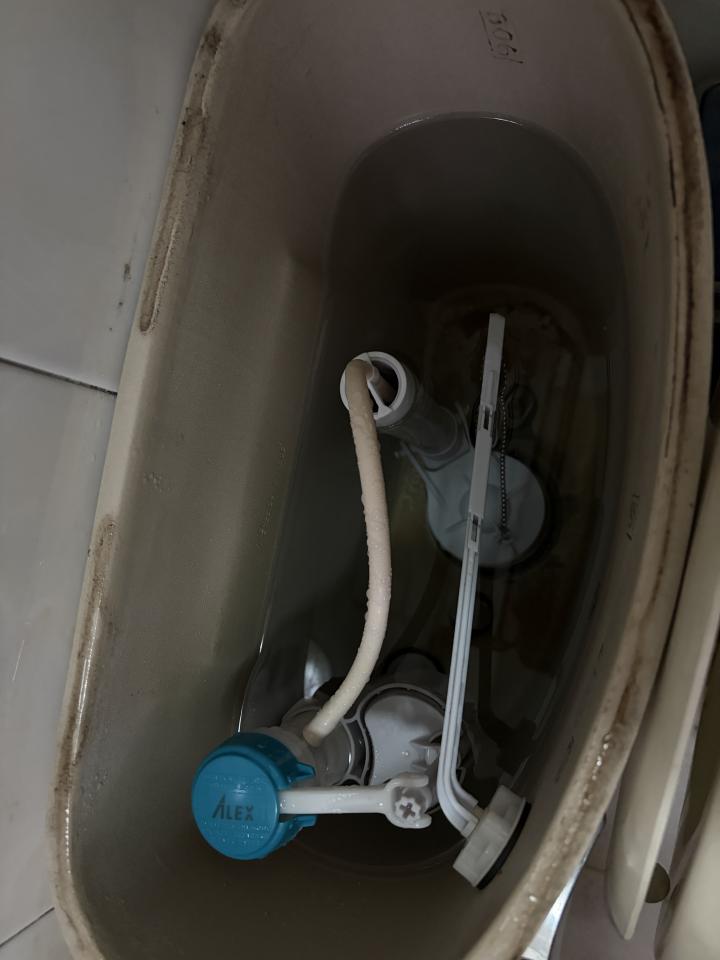 馬桶裝修案件圖片