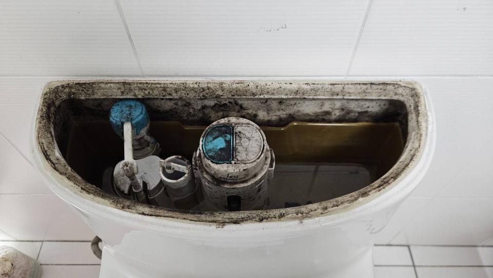 馬桶裝修案件圖片