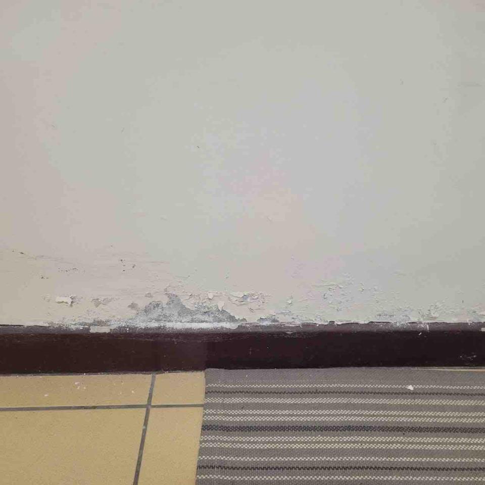 壁癌處理案件圖片