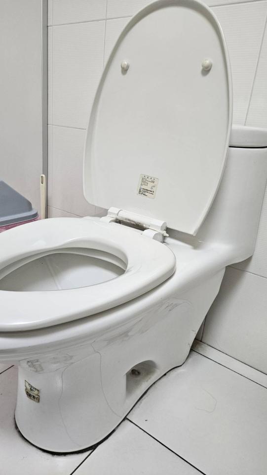 馬桶裝修案件圖片