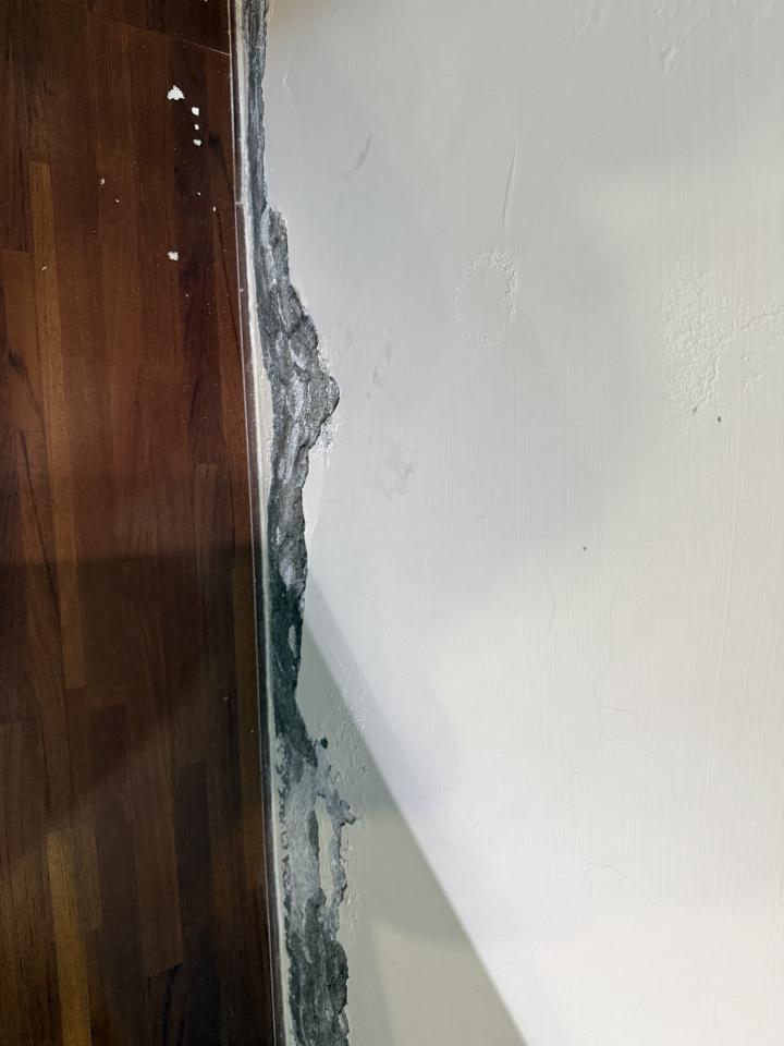 壁癌處理案件圖片