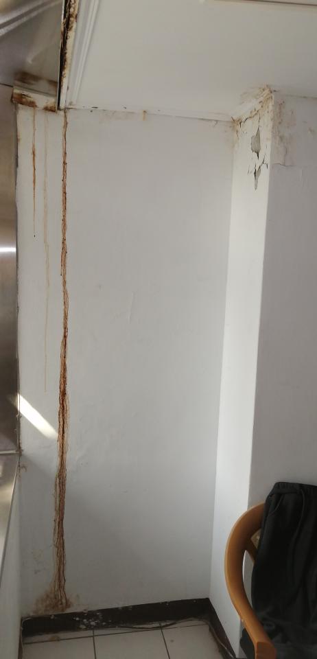 漏水處理案件圖片