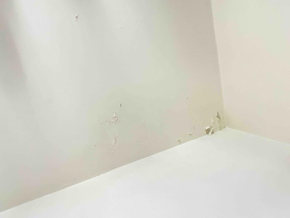 油漆工程案件圖片