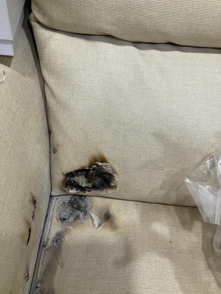 沙發修理案件圖片