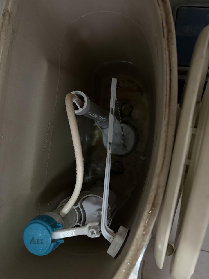 馬桶裝修案件圖片