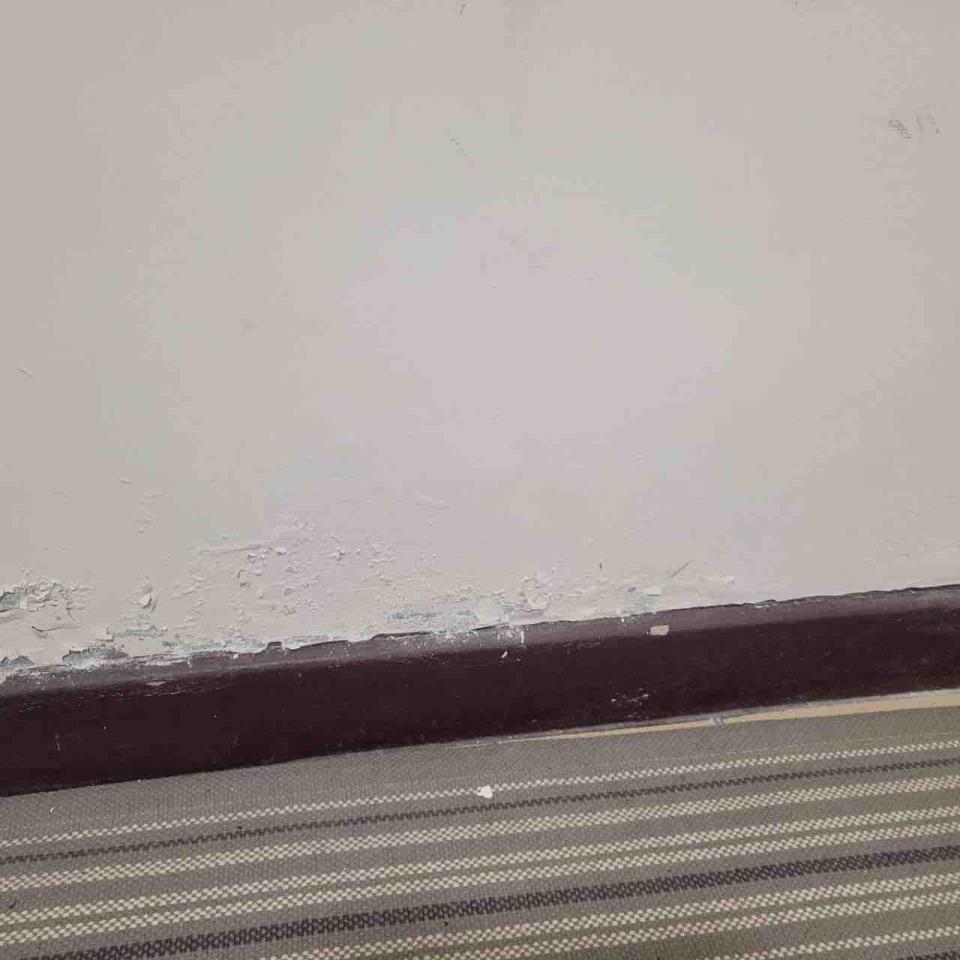 壁癌處理案件圖片