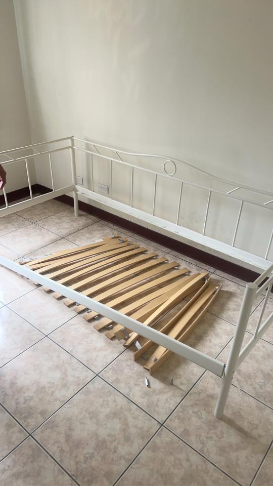 大型垃圾回收案件圖片