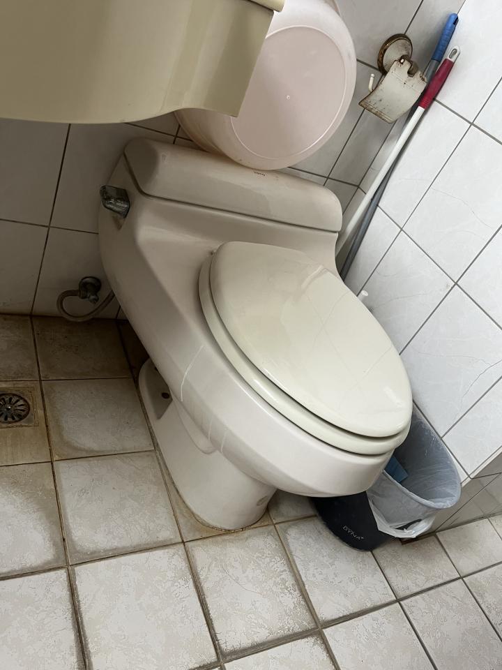 馬桶裝修案件圖片