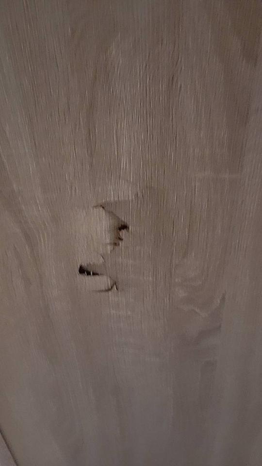 木工施工案件圖片