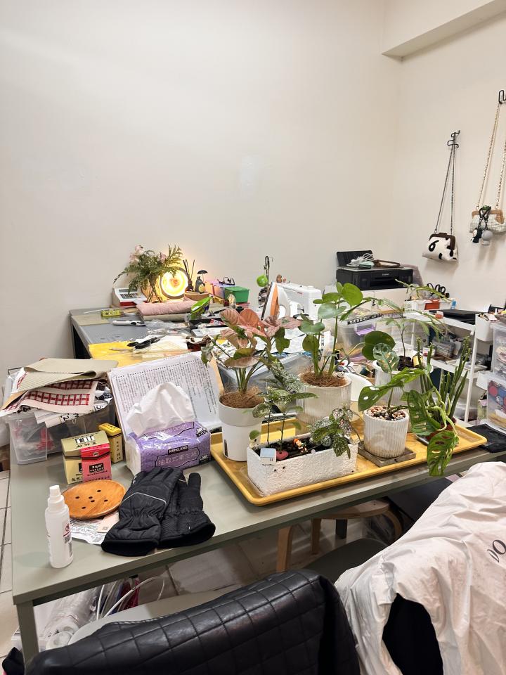 軟裝設計案件圖片