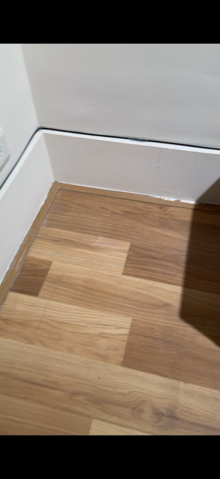 拉網路線案件圖片