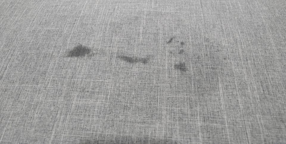 沙發清潔案件圖片