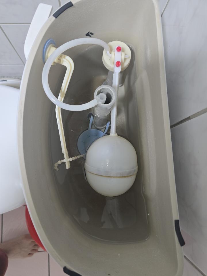 馬桶裝修案件圖片