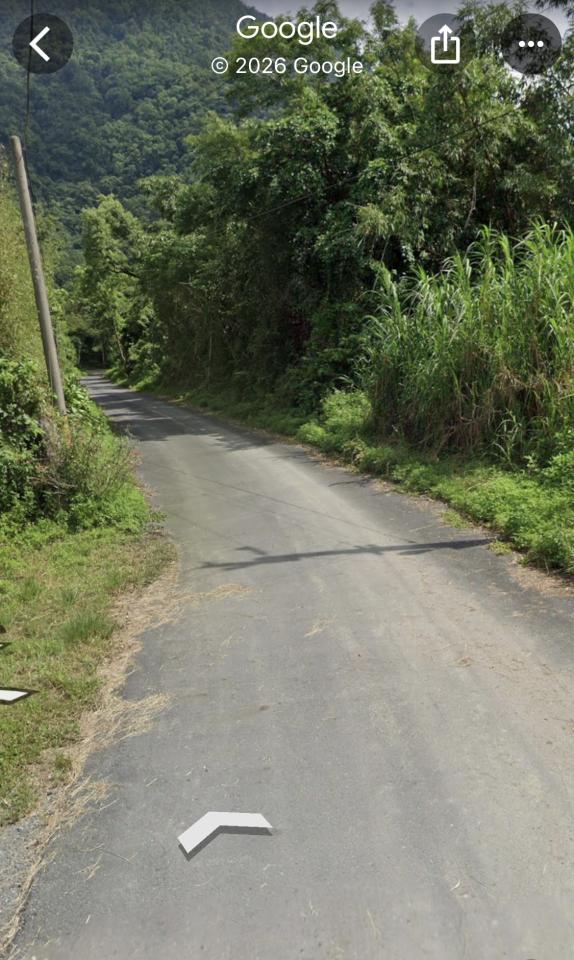 園藝維護案件圖片