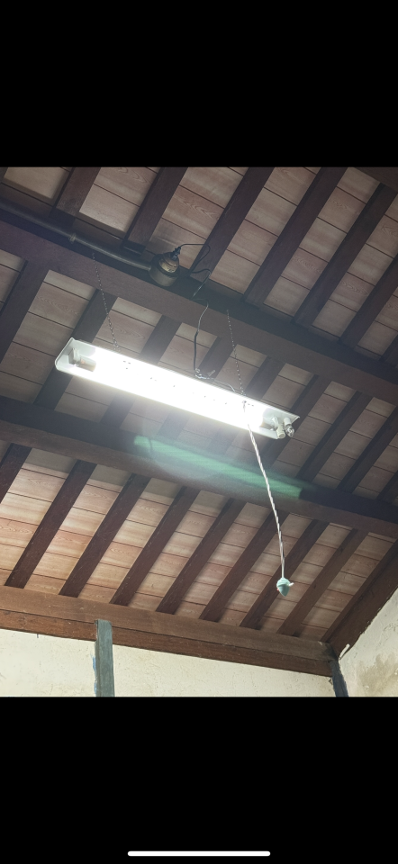 燈具安裝案件圖片