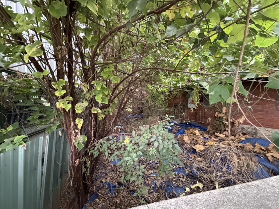 園藝維護案件圖片