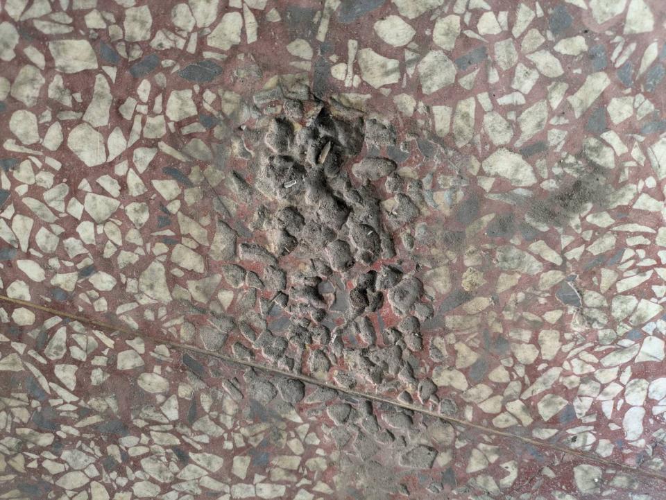 地板拋光打蠟案件圖片