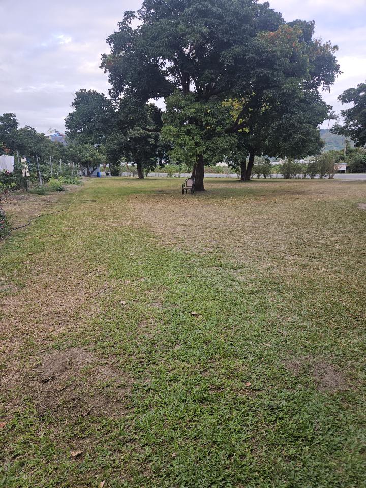 園藝維護案件圖片