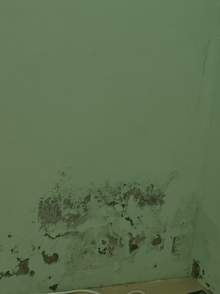 壁癌處理案件圖片