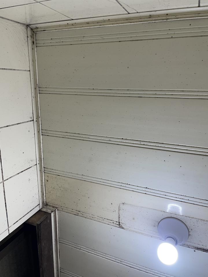 浴室除霉清潔案件圖片