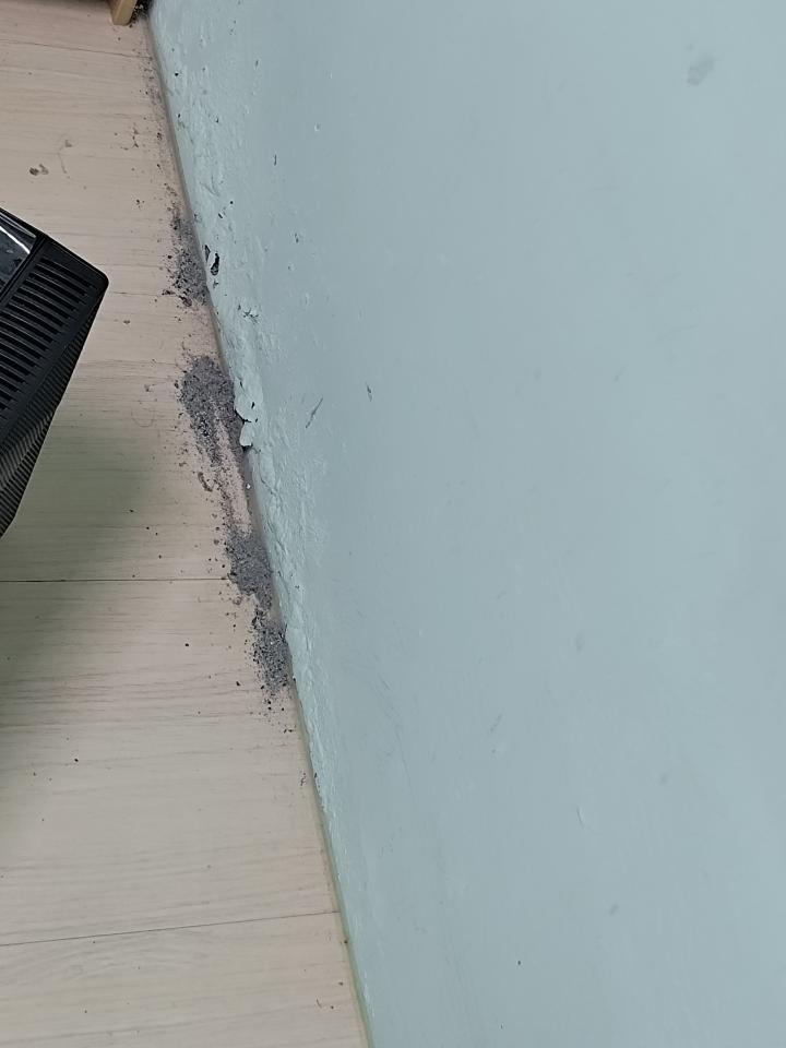 壁癌處理案件圖片