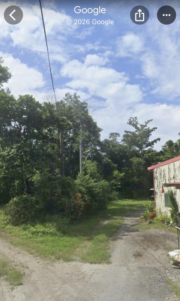 園藝維護案件圖片