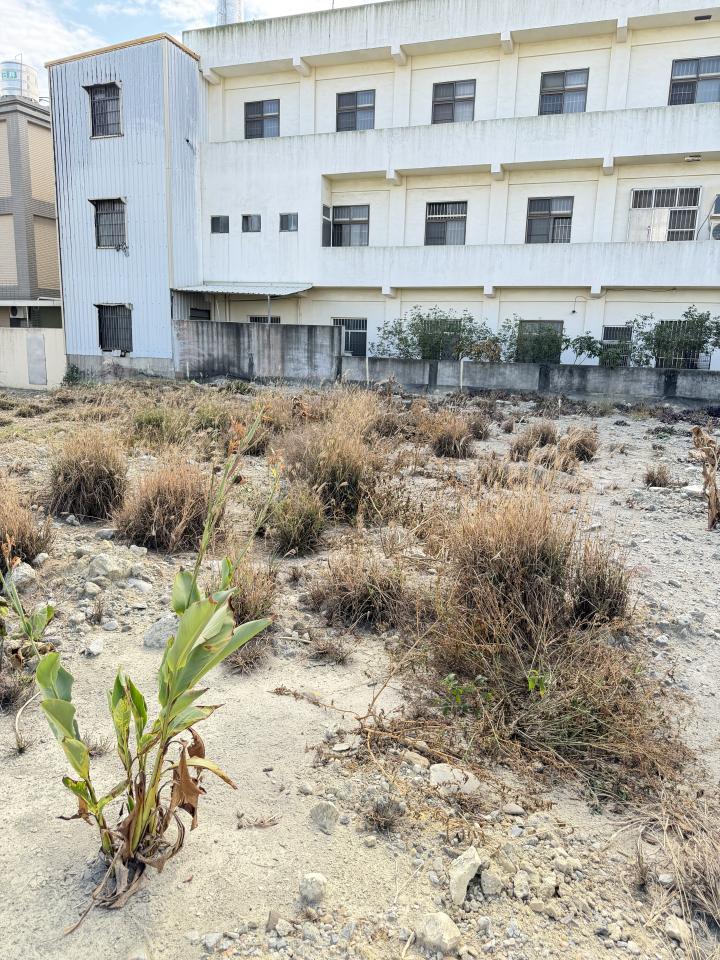 園藝維護案件圖片