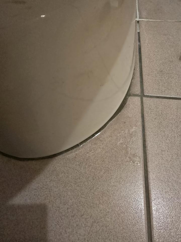 馬桶裝修案件圖片