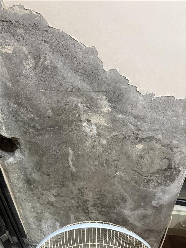 壁癌處理案件圖片