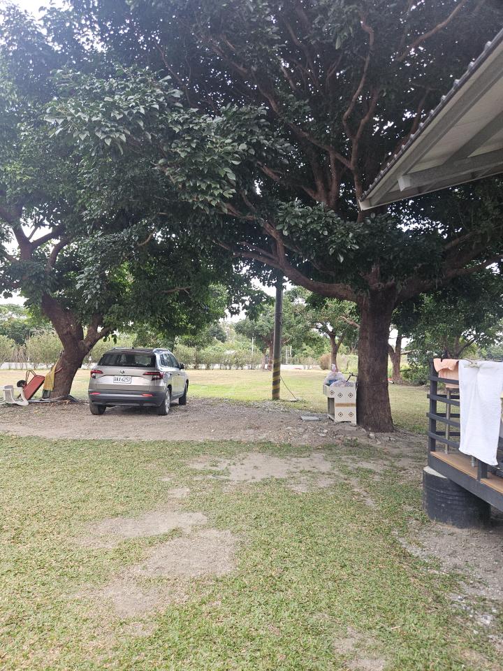 園藝維護案件圖片