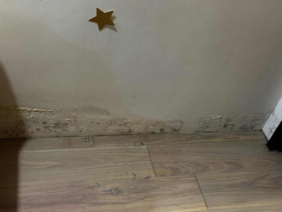 壁癌處理案件圖片