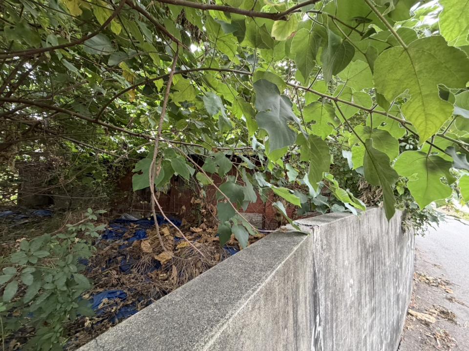 園藝維護案件圖片