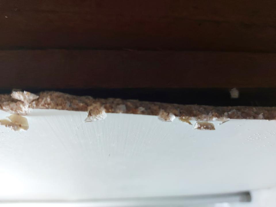 浴室翻新案件圖片