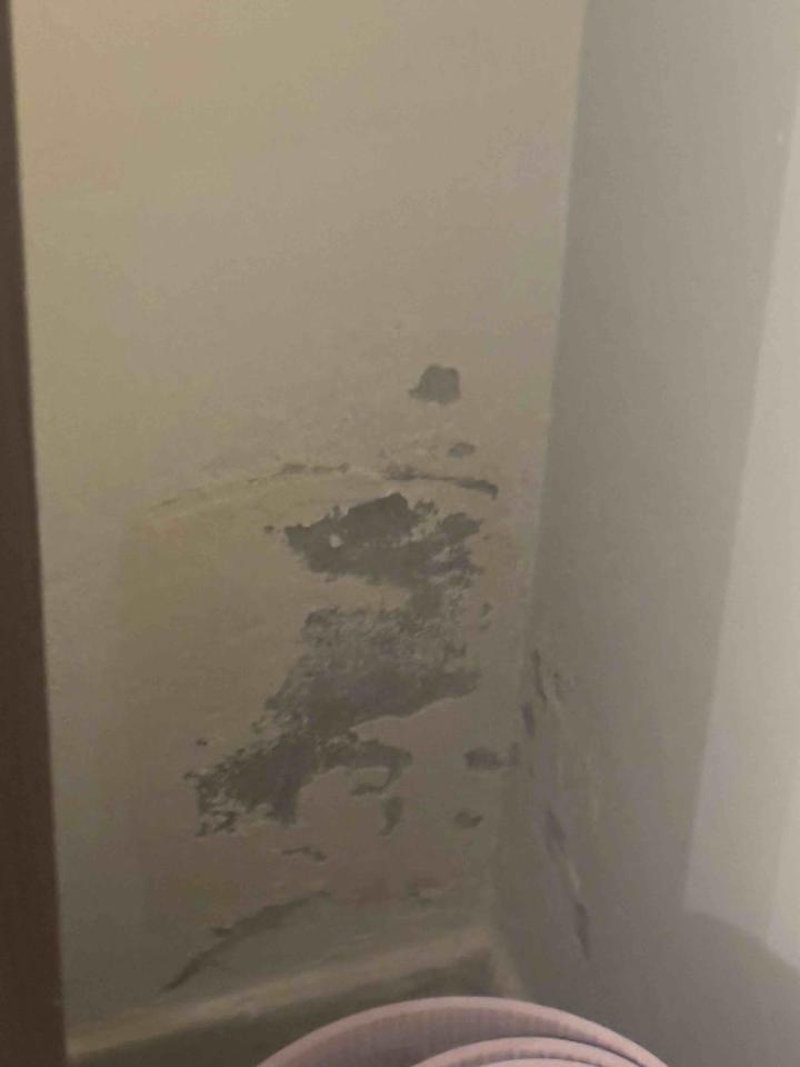 壁癌處理案件圖片