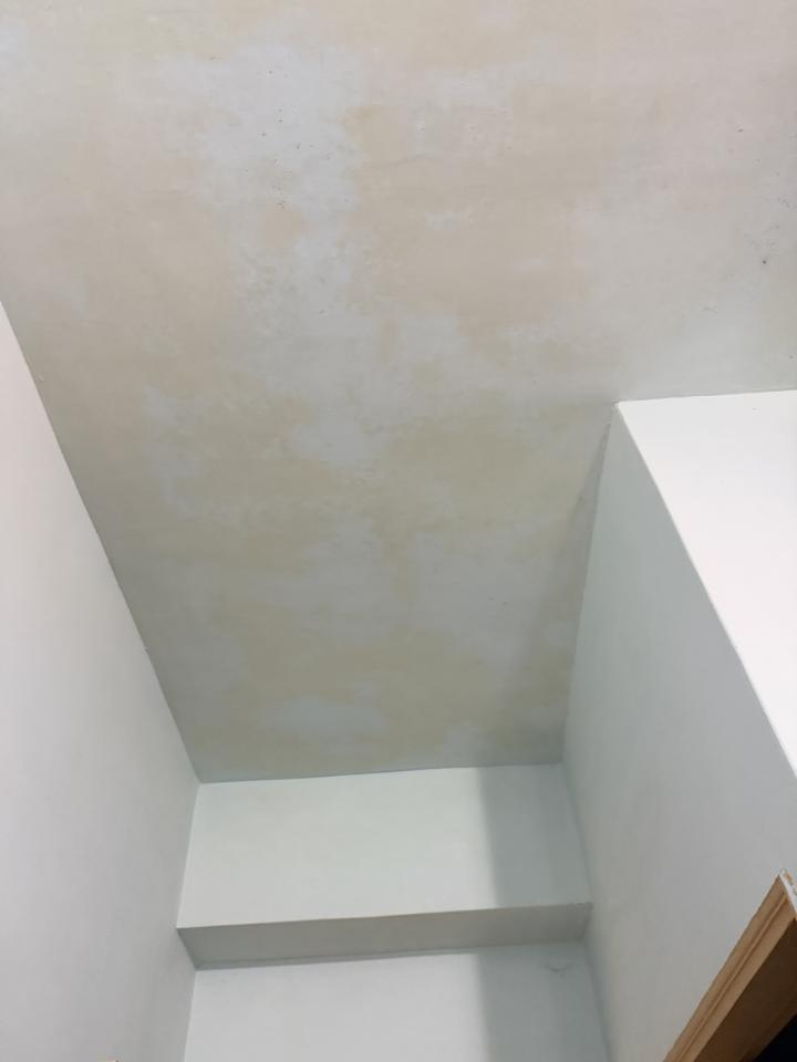 壁紙施工案件圖片